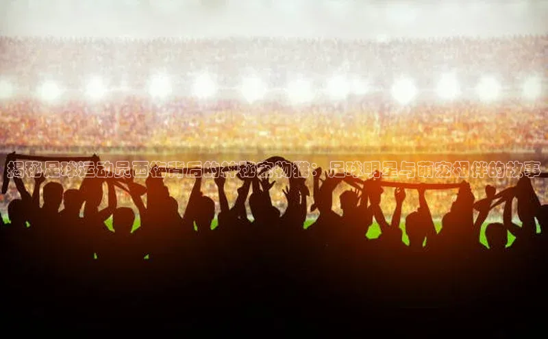 人人体育官方正版下载安装云创智行揭秘足球运动员西梅背后的神秘宠物猫：足球明星与萌宠相伴的故事