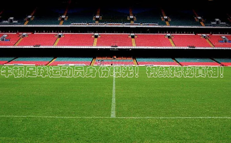 人人体育欧洲杯直播百度人工翻译牛顿足球运动员身份曝光！视频揭秘真相！
