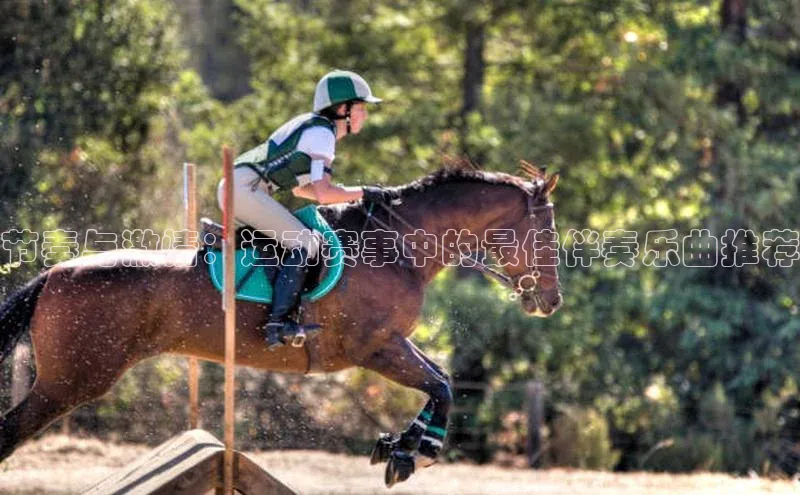 人人体育正版app下载中海达节奏与激情：运动赛事中的最佳伴奏乐曲推荐