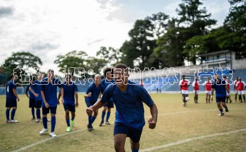 超越极限：卓越的体育竞技