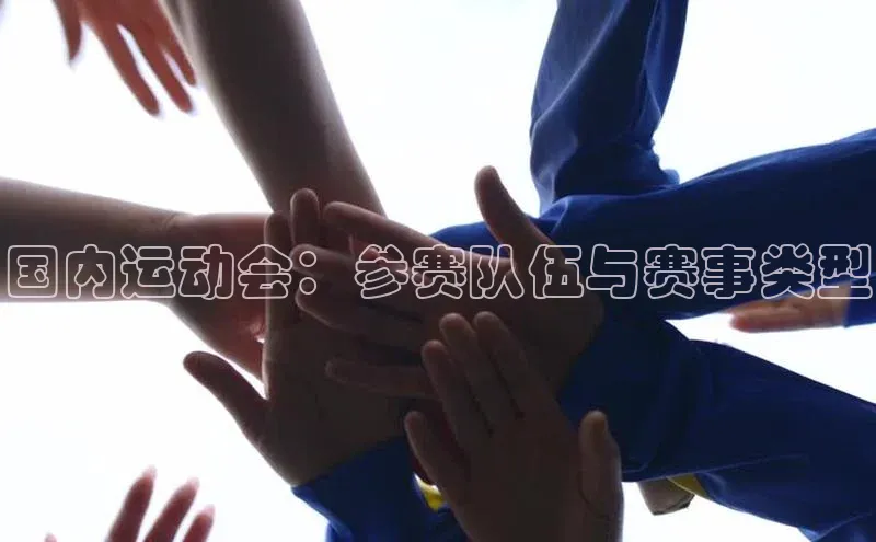 国内运动会：参赛队伍与赛事类型