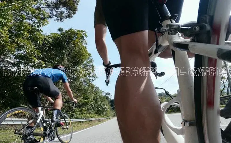 禹州盛景：一届大型运动赛事的精彩瞬间与激情时刻