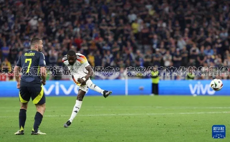 天津东丽区运动赛事承办：未来体育文化的新舞台