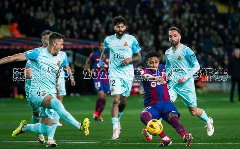 巅峰对决：2023年度足球冠军杯赛