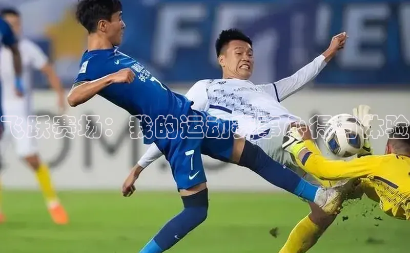 飞跃赛场：我的运动赛事心得与体验