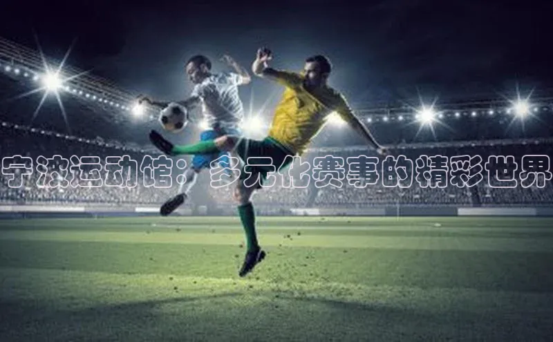 宁波运动馆：多元化赛事的精彩世界