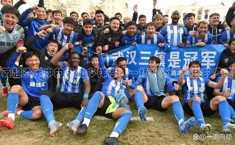 英超赛事中的运动多样性：一场视觉与竞技的盛宴