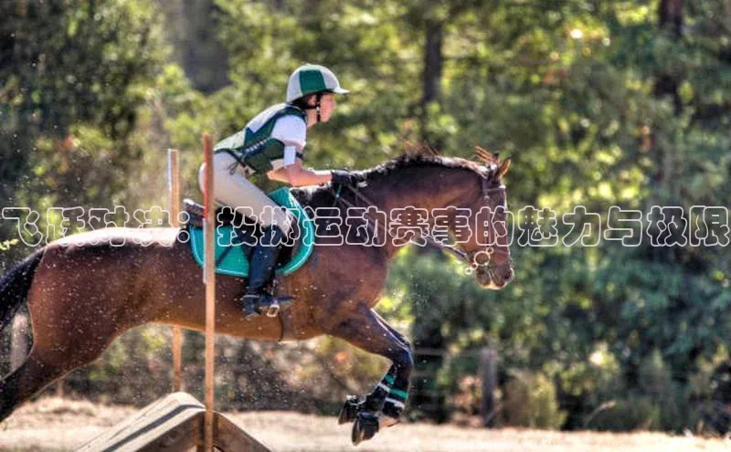 飞跃对决：投掷运动赛事的魅力与极限