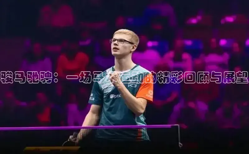 骏马驰骋：一场马术运动的精彩回顾与展望