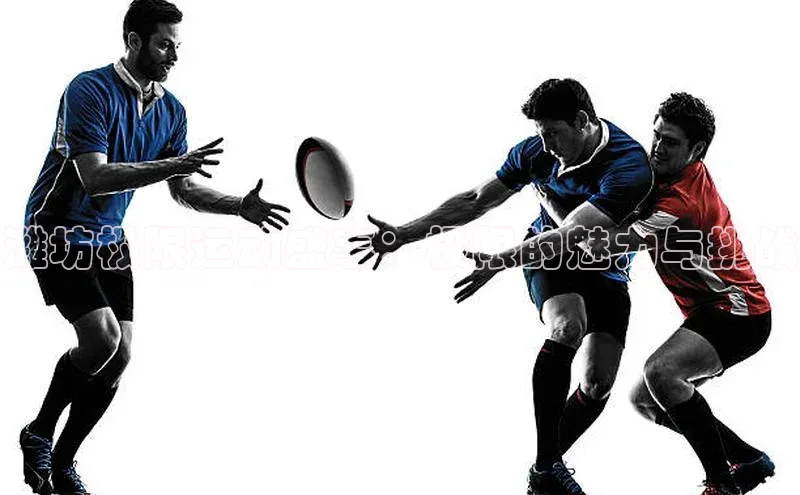 潍坊极限运动盛事：极限的魅力与挑战