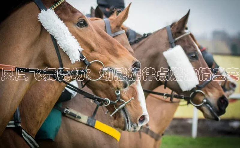 人人体育app官方下载最新版本
