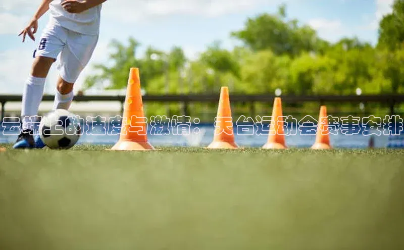 云端上的速度与激情：天台运动会赛事安排